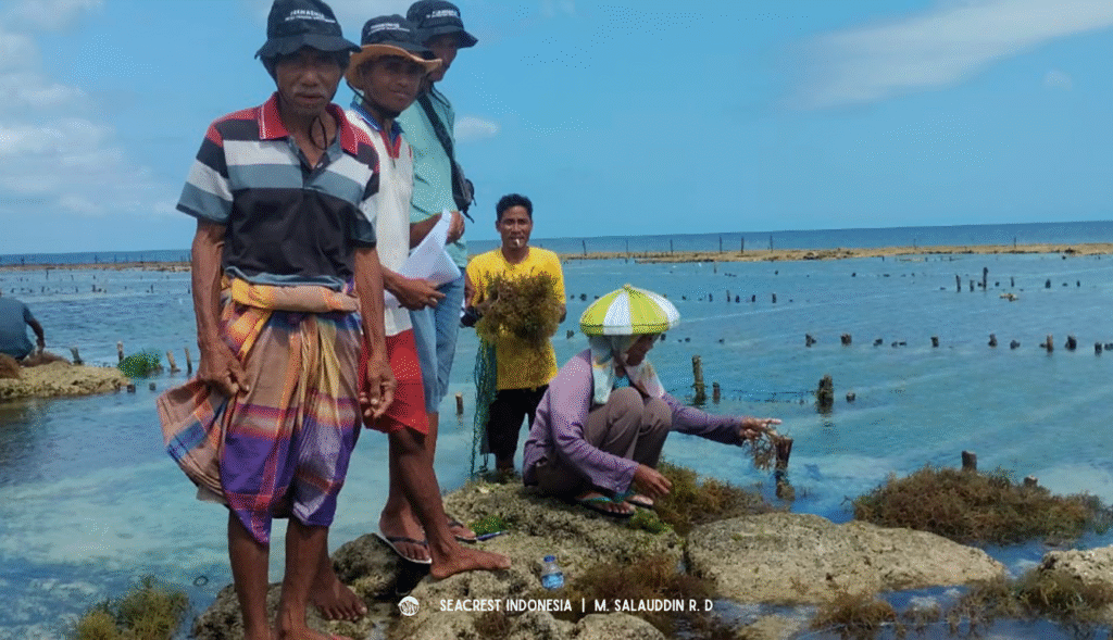 Pemantauan kegiatan pesisir, termasuk budidaya rumput laut, sebagai bagian dari penerapan metode RUM dalam pengawasan sumber daya laut. Pemantauan kegiatan pesisir, termasuk budidaya rumput laut, sebagai bagian dari penerapan metode RUM dalam pengawasan sumber daya laut.